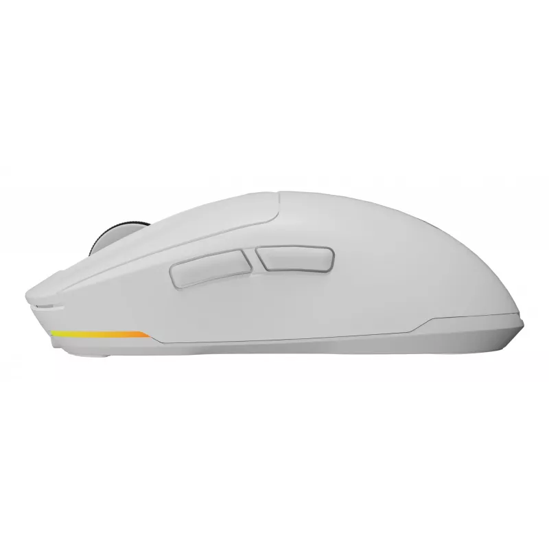 GENESIS NMG-2194 Pelė žaidimams Ambidekstrinė Bluetooth + USB Type-C Optinė 26000 DPI