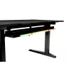 Tiesus kompiuterinis stalas GENESIS NDS-2249 juoda MDF 140x75cm