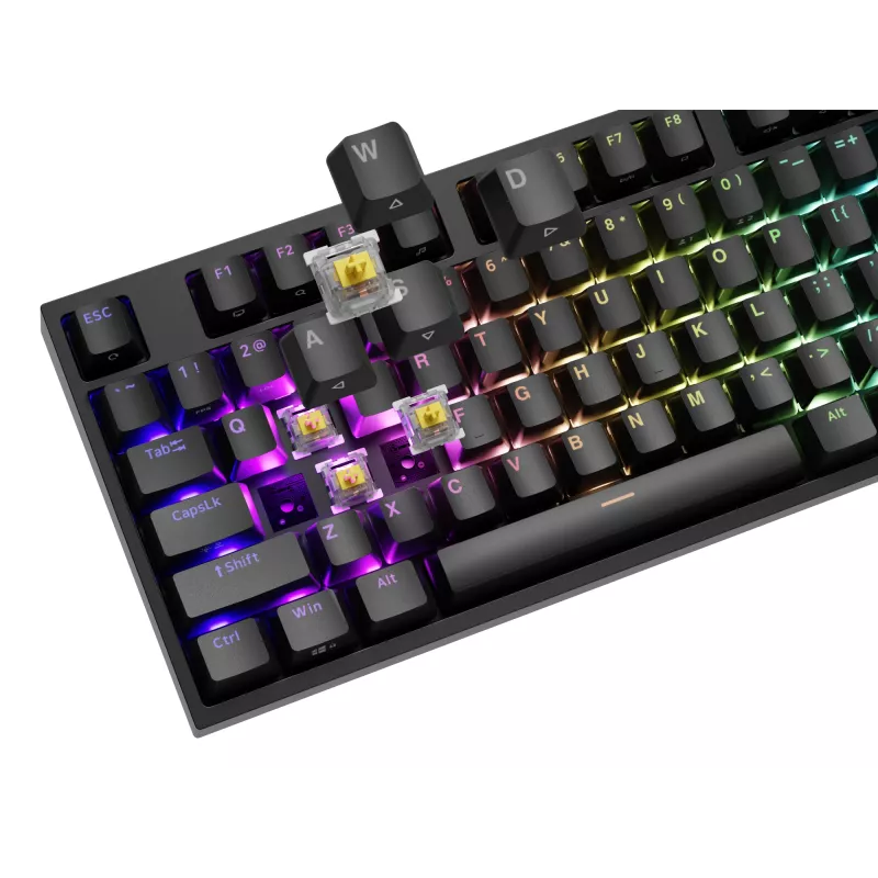 GENESIS THOR 404 mechaninė klaviatūra, USB, QWERTY, RGB LED, juoda