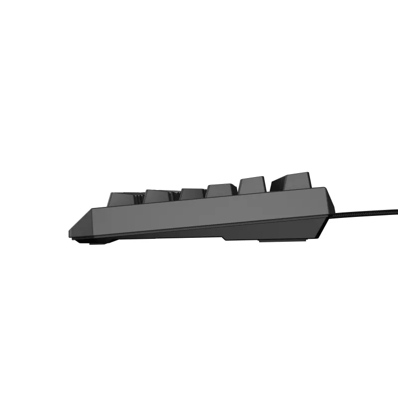 GENESIS Thor 230 TKL klaviatūra žaidimams USB + RF belaidė + Bluetooth QWERTY Juoda