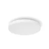 Philips Hue White and colour ambience Datura lubinis šviestuvas mažas