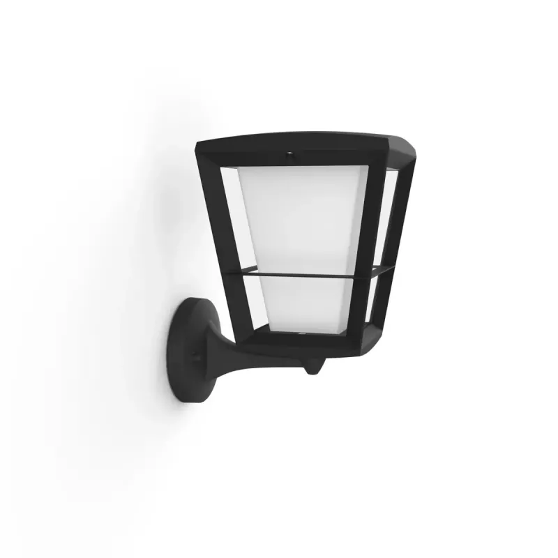 Philips Hue White and Colour Ambiance Econic lauko sieninis šviestuvas