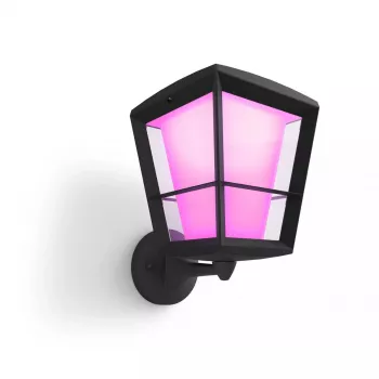Philips Hue White and Colour Ambiance Econic lauko sieninis šviestuvas