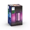 Philips Hue White and colour ambience Impress lauko sieninis šviestuvas