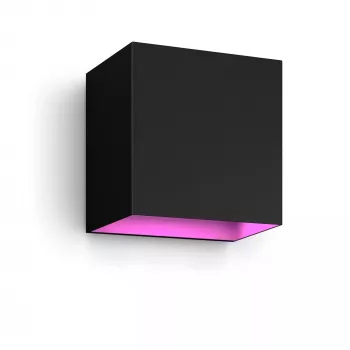 Philips Hue White and Colour Ambience Resonate Downward protinga lauko sieninė šviestuvas