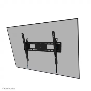 Neomounts WL35-750BL18 sunkusis TV laikiklis 125 kg 43-98 colių VESA 100x100-800x600