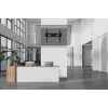 Neomounts WL35-750BL18 sunkusis TV laikiklis 125 kg 43-98 colių VESA 100x100-800x600