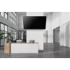 Neomounts WL35-750BL18 sunkusis TV laikiklis 125 kg 43-98 colių VESA 100x100-800x600