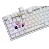 Mechaninė klaviatūra GENESIS THOR 404, pilno dydžio, USB, QWERTY anglų, RGB apšvietimas, balta