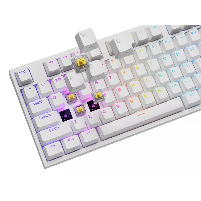 Mechaninė klaviatūra GENESIS THOR 404, pilno dydžio, USB, QWERTY anglų, RGB apšvietimas, balta