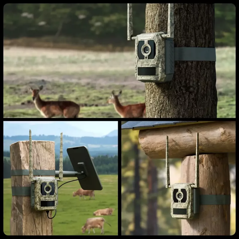 Medžioklinė kameros Reolink Camovue Talon S130 4G LTE, 8 MP, 3840×2160, 95° H × 50.2° V, IP67, įkraunama USB-C, lauko