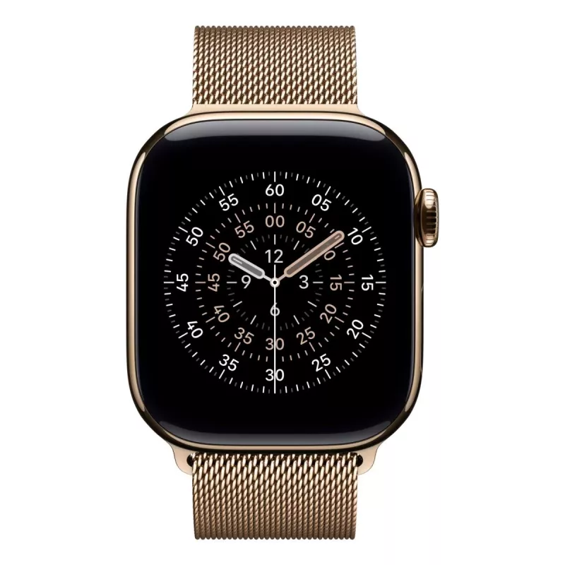 Apple 42 mm auksinė Milano apyrankė