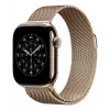 Apple 42 mm auksinė Milano apyrankė