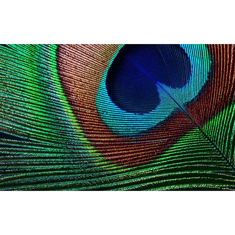 Projektorius Epson EH-TW7000 standartinio fokusavimo 3000 ANSI liumenų 3LCD UHD 4K (3840x2160) 3D baltas