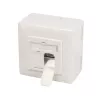 Kištukinis lizdas 2 x RJ-45 LogiLink NP0124