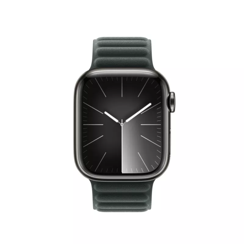Apple 41mm Evergreen Magnetic Link M/L dirželis, žalias