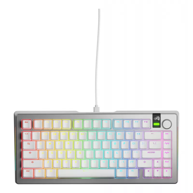 Mechaninė žaidimų klaviatūra GLORIOUS GMMK 3 PRO 75% Wired USB QWERTY RGB Sidabrinė (US)