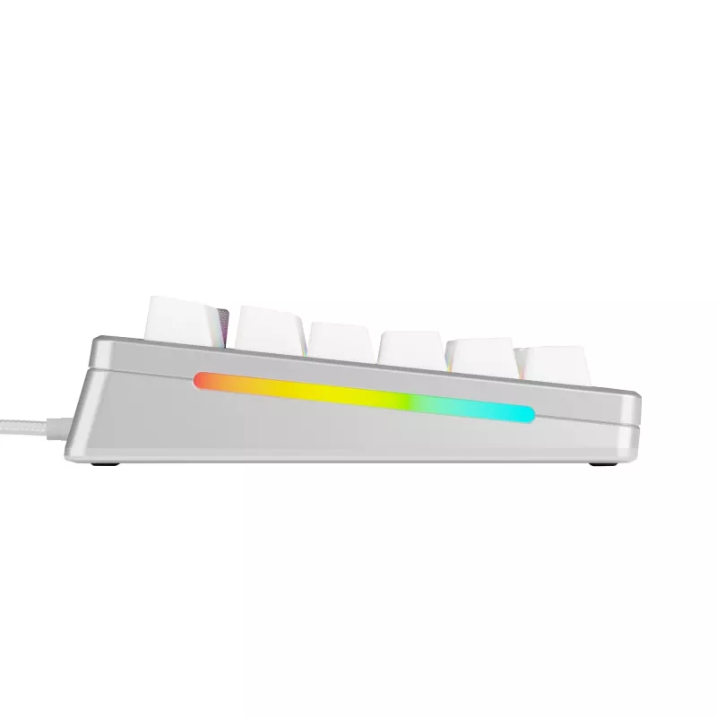 Mechaninė žaidimų klaviatūra GLORIOUS GMMK 3 PRO 75% Wired USB QWERTY RGB Sidabrinė (US)