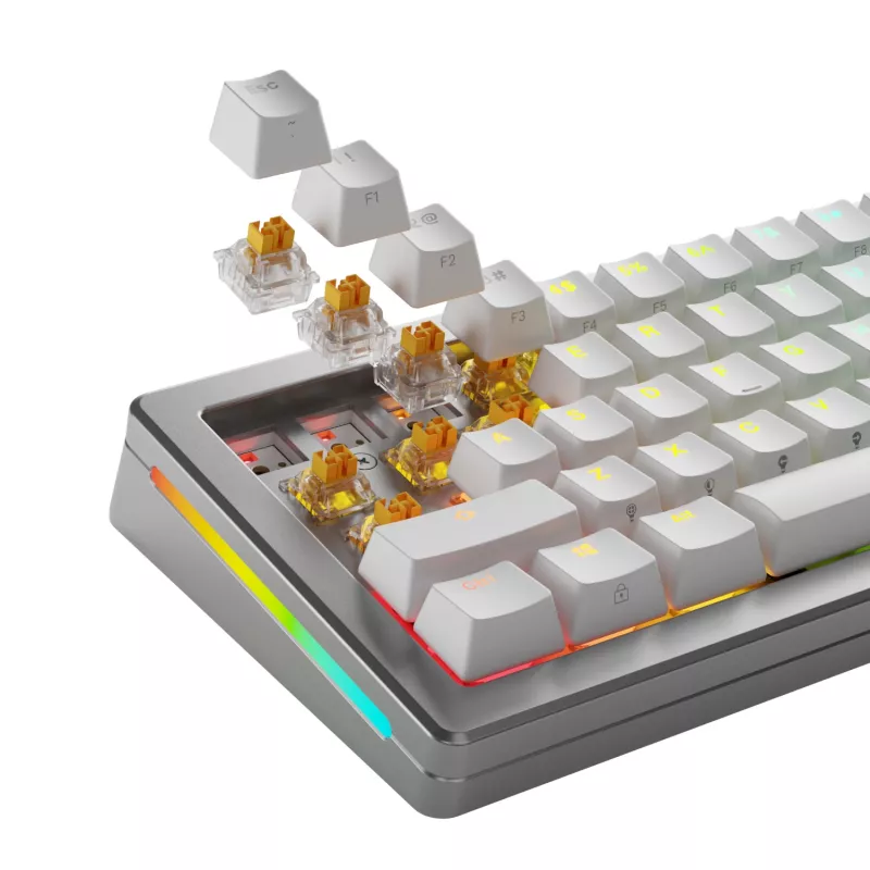 Glorious Gaming Glorious Panda HE jungikliai – 36 vnt., klaviatūros jungikliai, polikarbonatas (PC), peršviečiami, geltoni