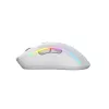 Glorious Gaming Model D 2 Wireless belaidė pelė, matinė balta, dešinei rankai