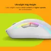 Glorious Gaming Model D 2 Wireless belaidė pelė, matinė balta, dešinei rankai