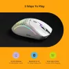 Glorious Gaming Model D 2 Wireless belaidė pelė, matinė balta, dešinei rankai