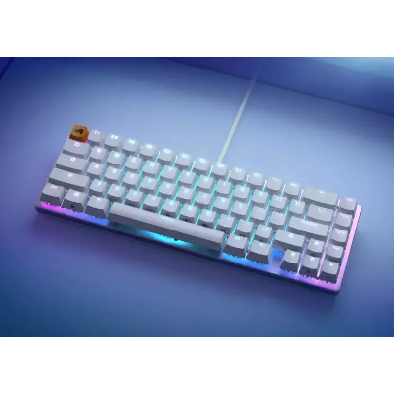 Mechaninė klaviatūra Glorious PC Gaming Race GMMK 2 65% White RGB