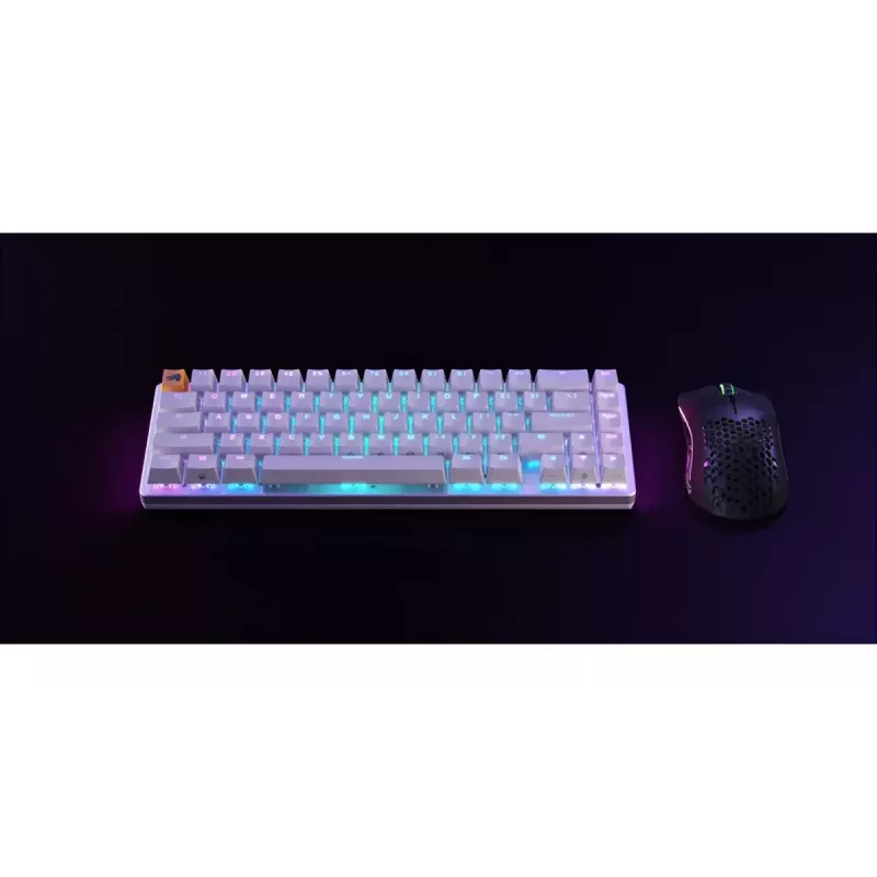 Mechaninė klaviatūra Glorious PC Gaming Race GMMK 2 65% White RGB