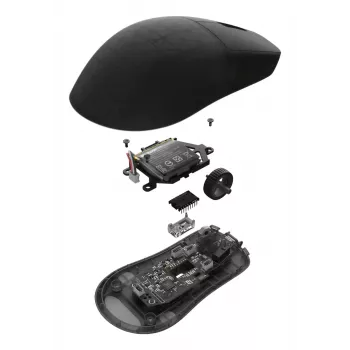 Endgame Gear OP1w 4k v2 belaidė žaidimų pelė, 4000 Hz, Dark Frost