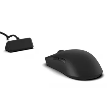 Endgame Gear OP1w 4k v2 belaidė žaidimų pelė, 4000 Hz, Dark Frost