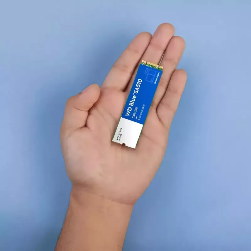 WESTERN DIGITAL SSD WD Blue SA510 250GB SATA III M.2 2280