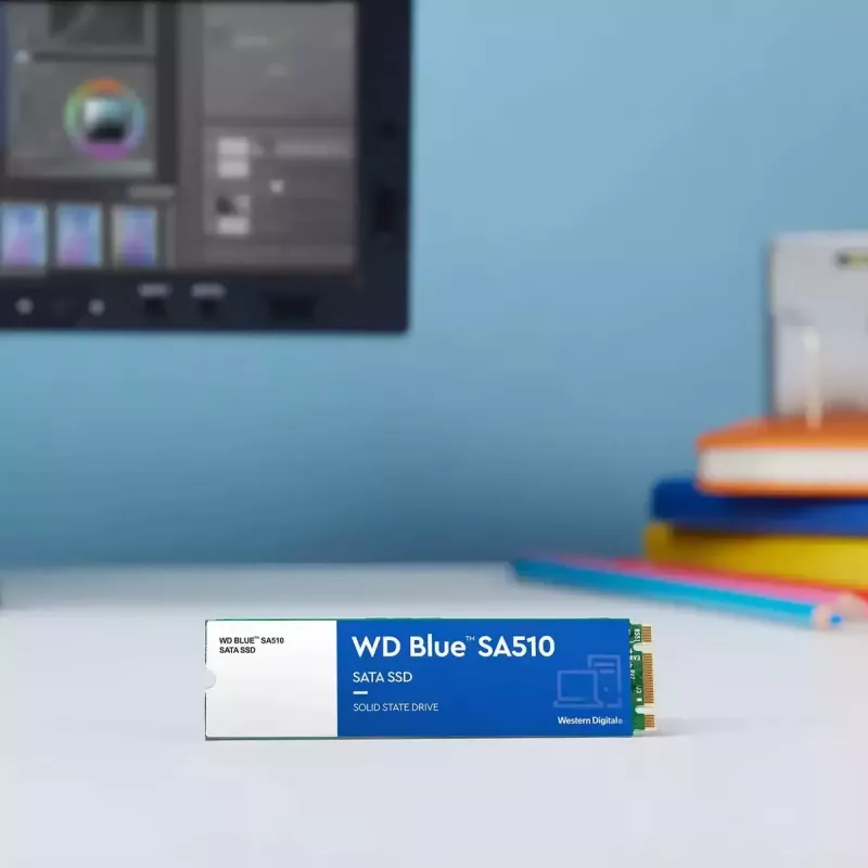 WESTERN DIGITAL SSD WD Blue SA510 250GB SATA III M.2 2280
