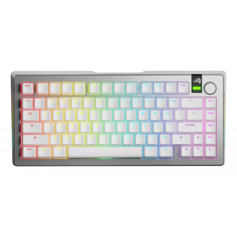 Mechaninė klaviatūra GLORIOUS GMMK 3 PRO 75% Prebuilt Wireless, USB + RF + Bluetooth, QWERTY, sidabrinė
