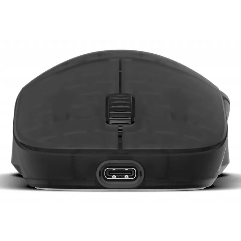 Gaming pelė Endgame Gear XM2w 4k v2 Gaming Mouse - Dark Frost