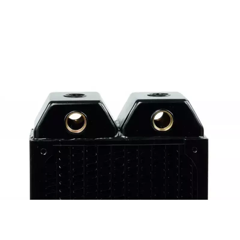 Radiatorius Alphacool 14173