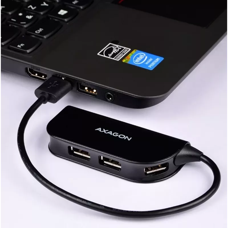 Axagon HUE-X4B USB 2.0 keturių prievadų šakotuvas, juodas