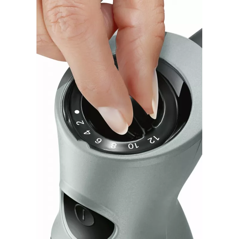 Bosch MSM67170 panardomasis blenderis 750 W juodas, sidabrinis