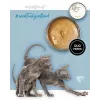Šlapias kačių ėdalas kačiukams 3coty Kalakutiena su vištiena 80 g
