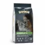 Sausas kačių ėdalas DIVINUS Cat Complete 20 kg – suaugusių kačių palaikymo dieta, vištiena, 30% baltymų, 12% riebalų