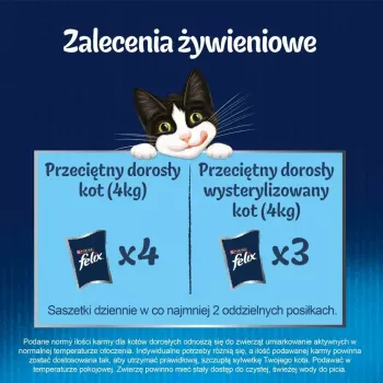 Šlapias kačių ėdalas Purina Nestlé PURINA Felix Countryside Selection multipaketas 120×85 g maišeliai, suaugusioms katėms, įvairūs skoniai, be glitimo