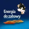 Šlapias kačių ėdalas Purina Nestlé PURINA Felix Countryside Selection multipaketas 120×85 g maišeliai, suaugusioms katėms, įvairūs skoniai, be glitimo