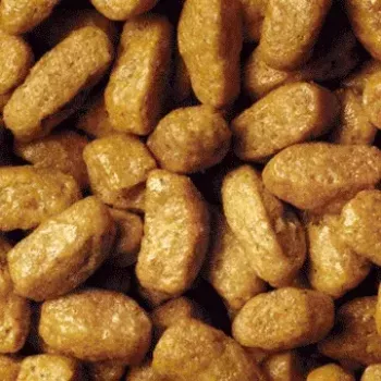 Sausas kačių ėdalas Purina Pro Plan Sterilised OPTIrenal Adult Rabbit 1,5 kg – inkstų palaikymui, 41% baltymų, 12% riebalų