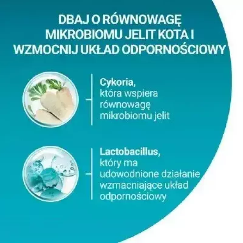 Purina One Sterilcat sausas maistas katėms su jautiena, 9,75 kg