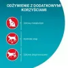 Purina One Sterilcat sausas maistas katėms su jautiena, 9,75 kg