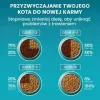 Purina One Sterilcat sausas maistas katėms su jautiena, 9,75 kg