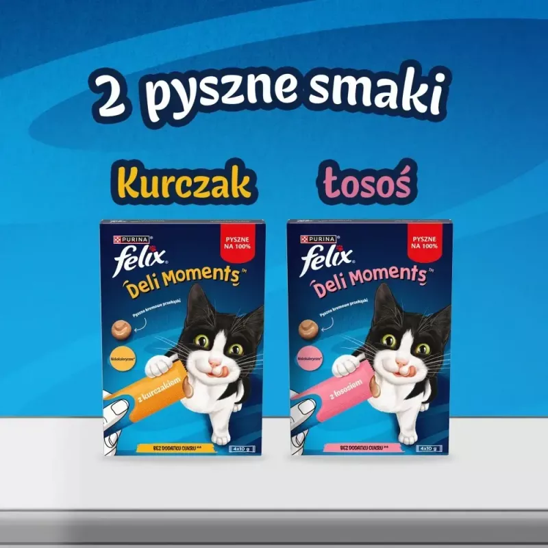 Šlapi skanėstai katėms Purina Felix Deli Moments lašišos pastos 4 x 10 g tūtelės