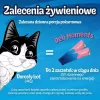 Šlapi skanėstai katėms Purina Felix Deli Moments lašišos pastos 4 x 10 g tūtelės