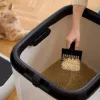 rotho Biala XL didelis plastikinis katės kraiko dėklas baltas su anglies filtru