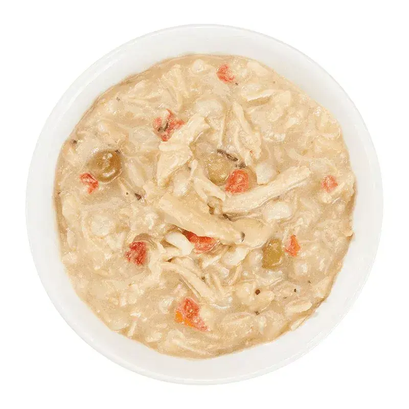 Šlapias šunų ėdalas Agras Pet Foods Schesir Taste the World 150 g – Vištiena, be glitimo, suaugusiems, skardinė