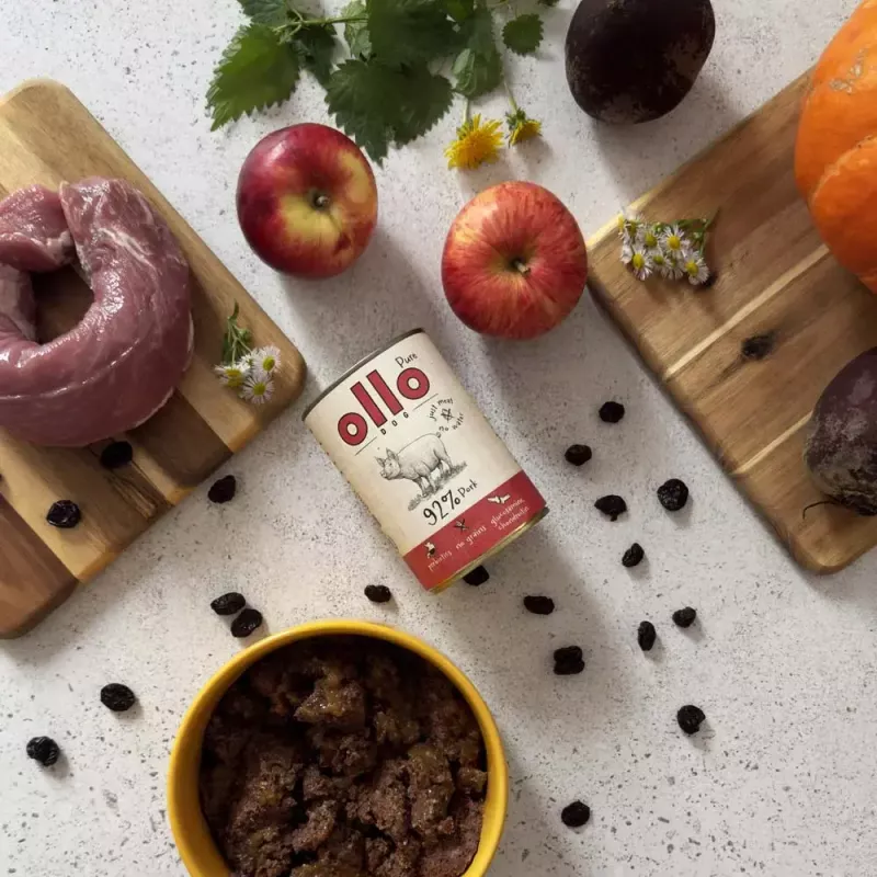 Šlapias šunų ėdalas OLLO Pure Pork 850 g – visavertis suaugusiems šunims, monoproteininis, 17% baltymų, 11,5% riebalų, 63% drėgmės